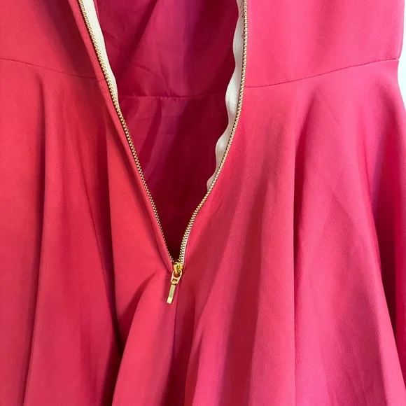 IEENA FOR MAC DUGGAL
Pink V Neck Fit & Flare Mini Dress -10 - Picture 9 of 14